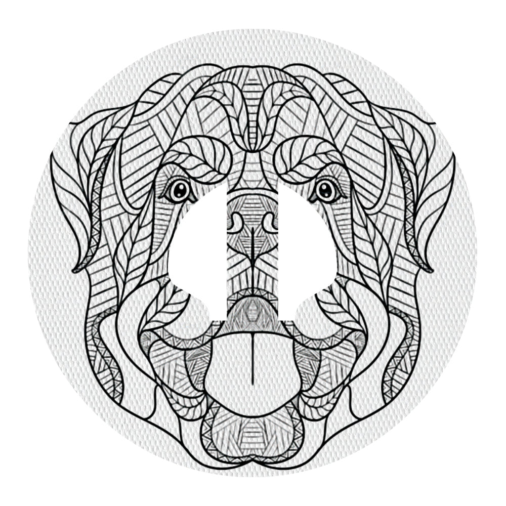 Colour ME Patch Medtronic - Adult range