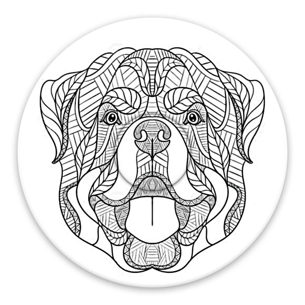 Colour ME Patch Freestyle Libre - Adult range