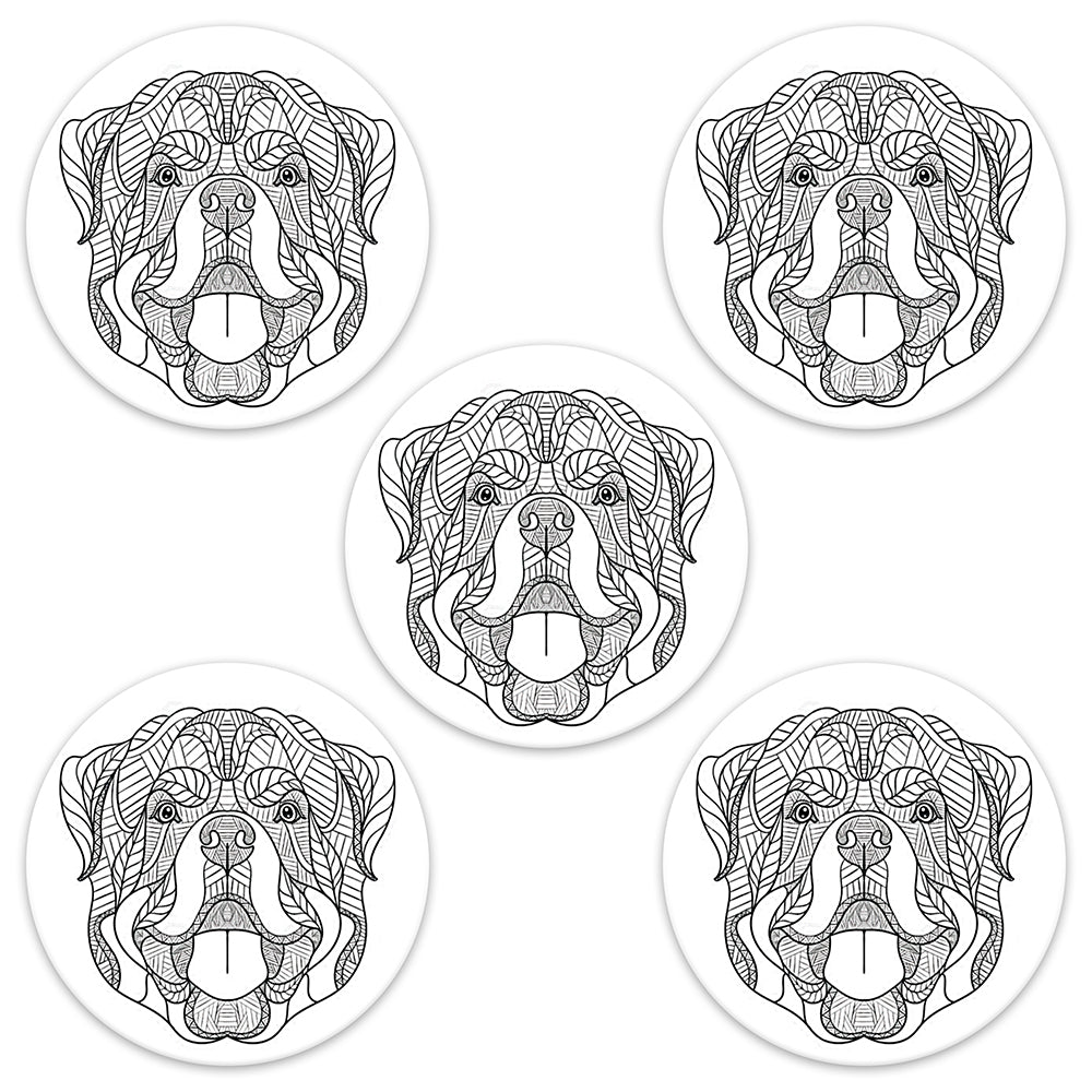 Colour ME Patch Freestyle Libre - Adult range
