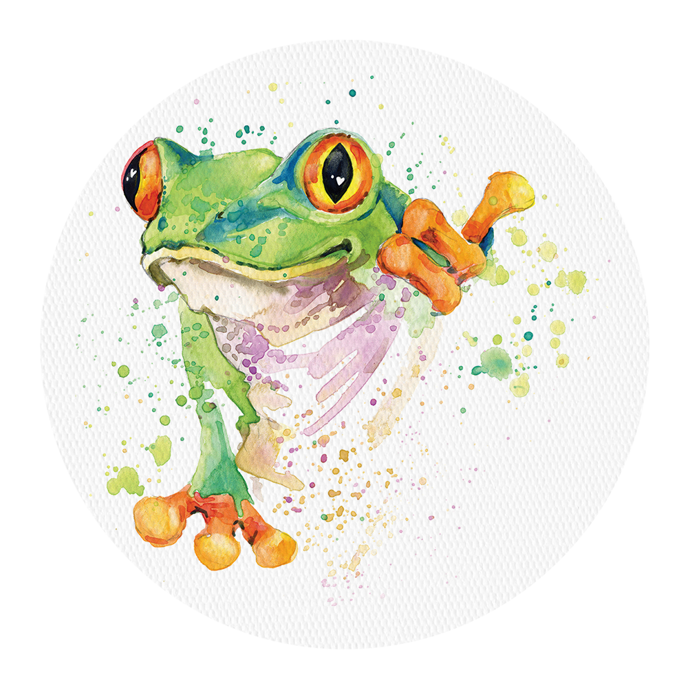 Medtronic Frog Design Patches