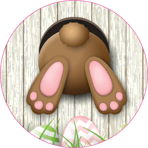 Dexcom G4/G5 & G6 Easter theme decal - Sits on top of the transmitter.