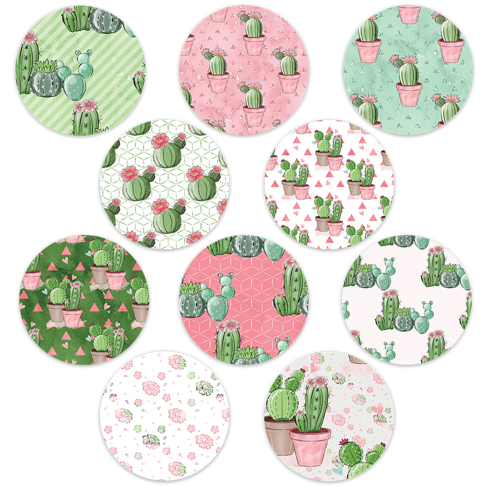 Cacti Patch Mix